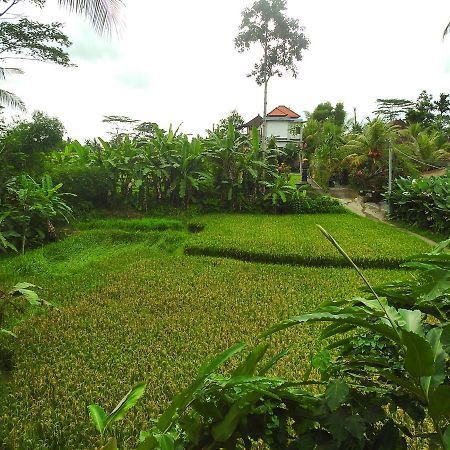Mandala Hostel Ubud Eksteriør bilde
