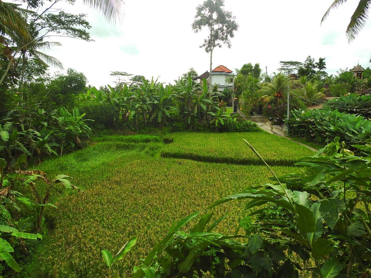Mandala Hostel Ubud Eksteriør bilde