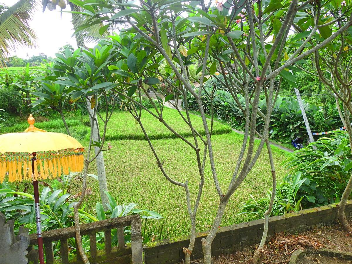Mandala Hostel Ubud Eksteriør bilde