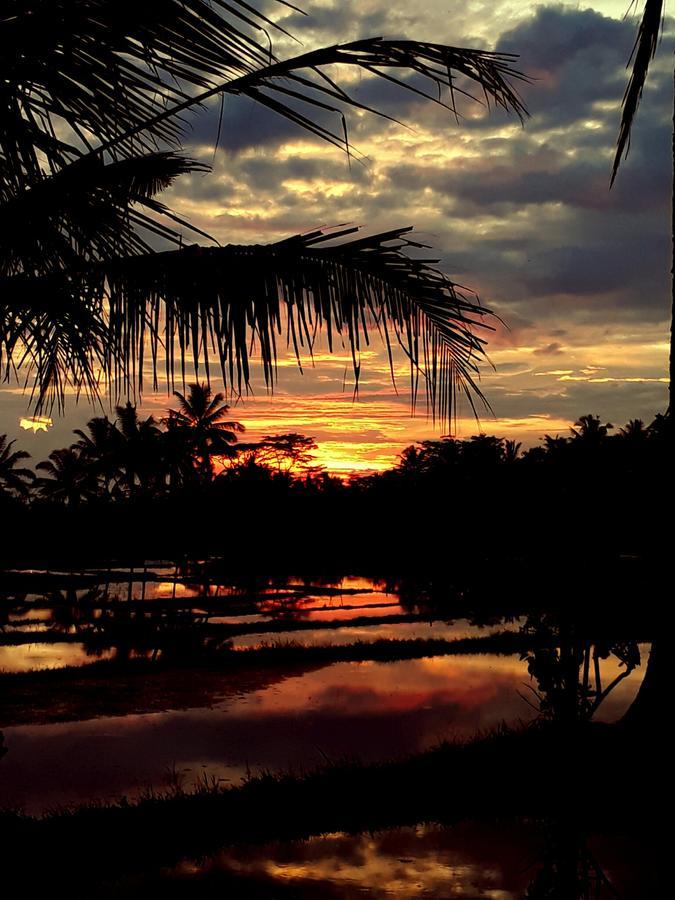 Mandala Hostel Ubud Eksteriør bilde