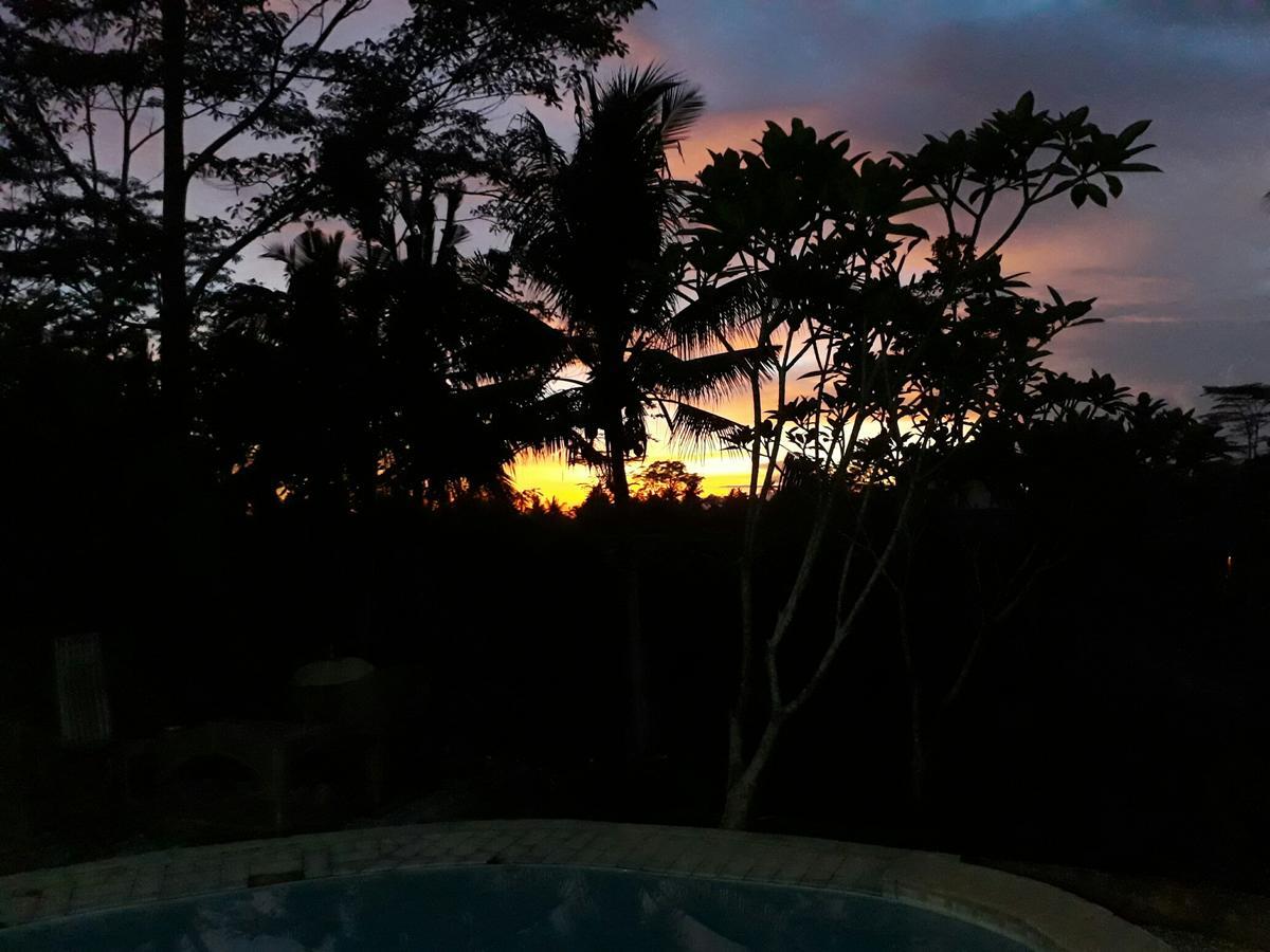Mandala Hostel Ubud Eksteriør bilde