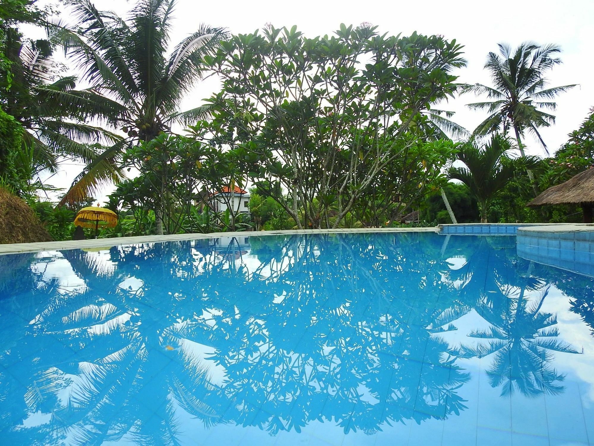 Mandala Hostel Ubud Eksteriør bilde