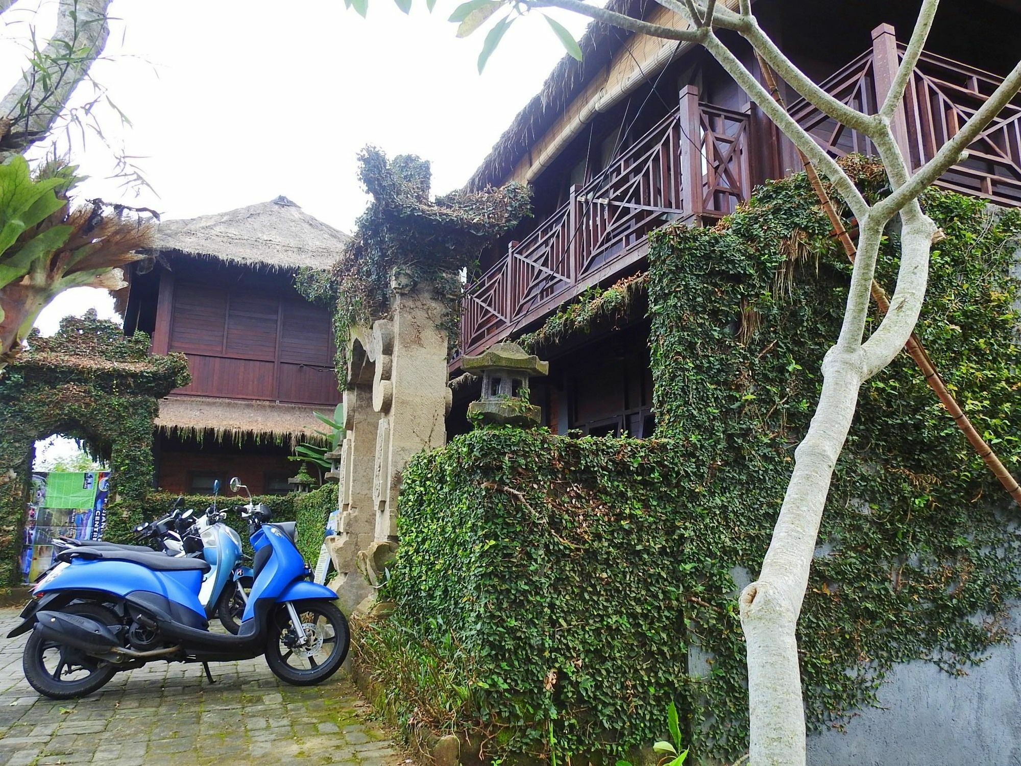 Mandala Hostel Ubud Eksteriør bilde